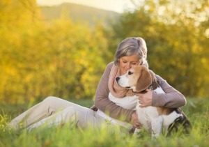 Senior Care Rolling Hills CA - Adopt a Senior Pet Month: Matching Senior Dogs to Senior Adults