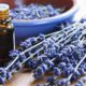Elderly Care Whittier CA - Aromatherapy and the Elderly