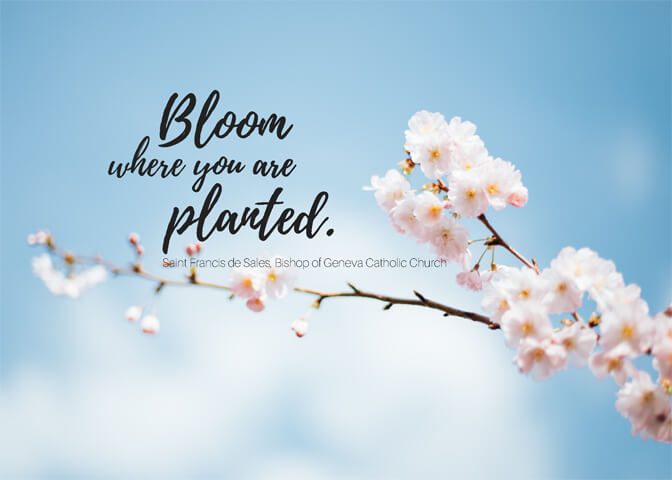 1Heart Thought Behind the Quote - “Bloom where you are planted”
