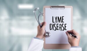 Home Health Care Hacienda Heights CA - What is Lyme Disease?
