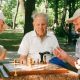 Three senior men playing chess in a park