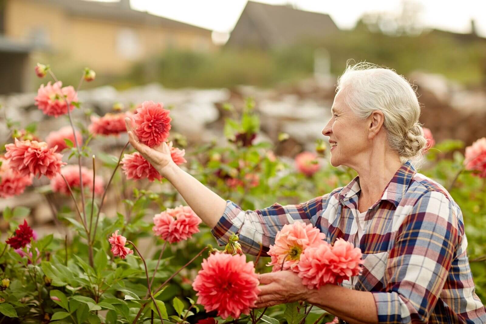Elder Care Manhattan Beach CA - Gardening and Composting 101: What it is and Why You Should Do It