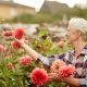 Elder Care Manhattan Beach CA - Gardening and Composting 101: What it is and Why You Should Do It