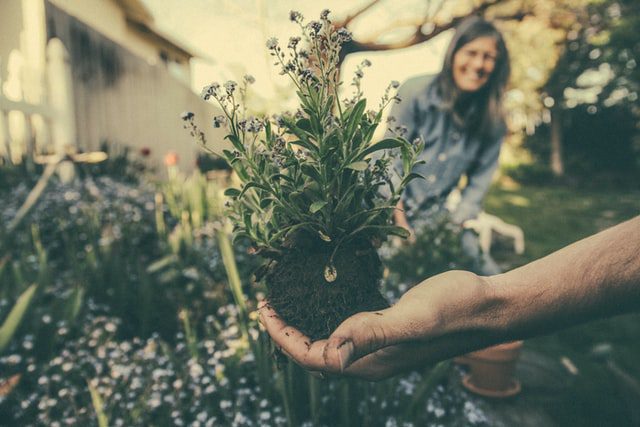 hand holding flower bulb with senior woman smiling in background
