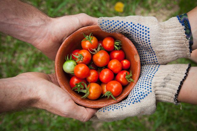 two pairs of hands holding a bowl of small tomatoes