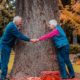 elderly couple holding hands near tree trunk