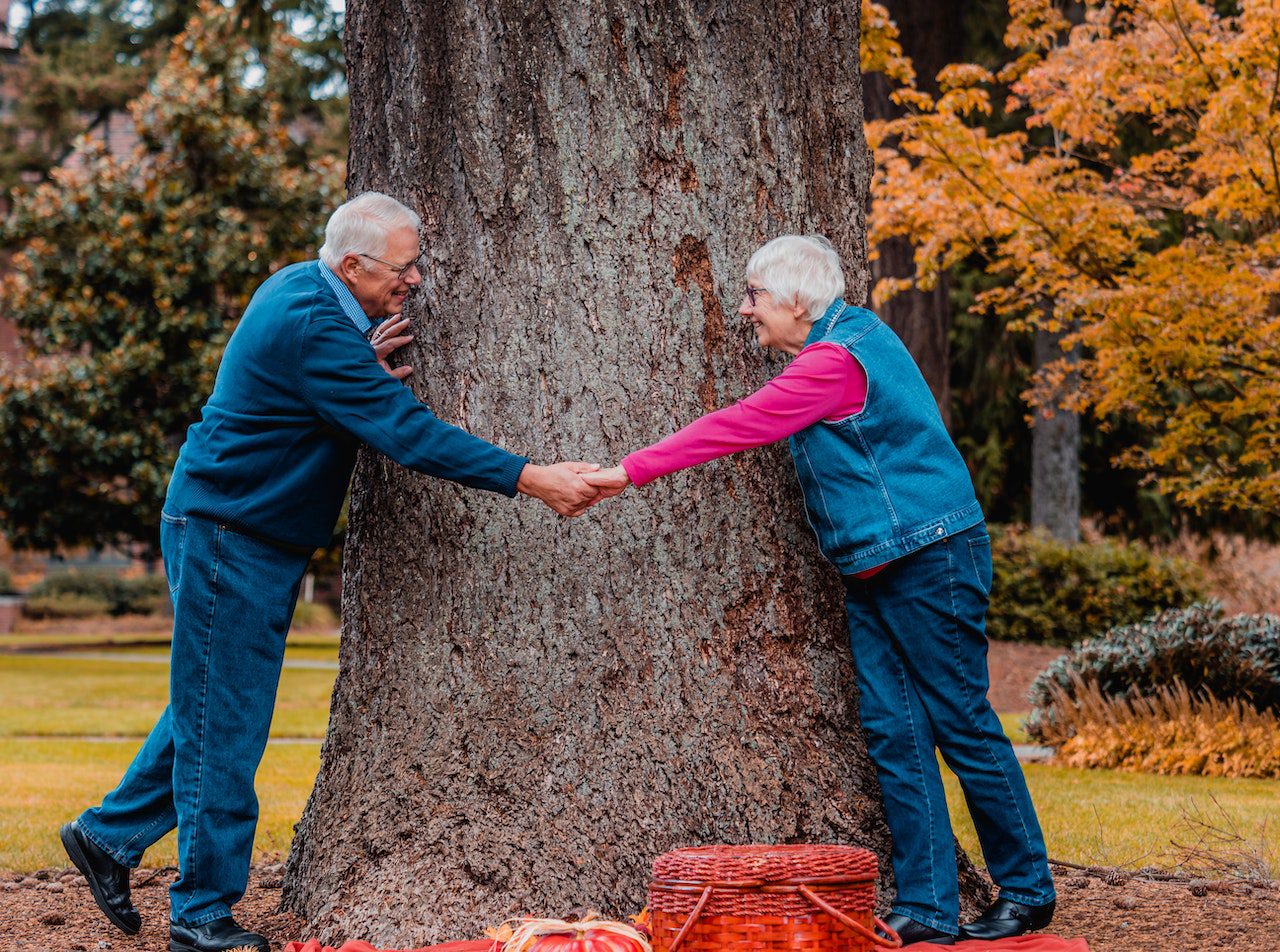 elderly couple holding hands near tree trunk