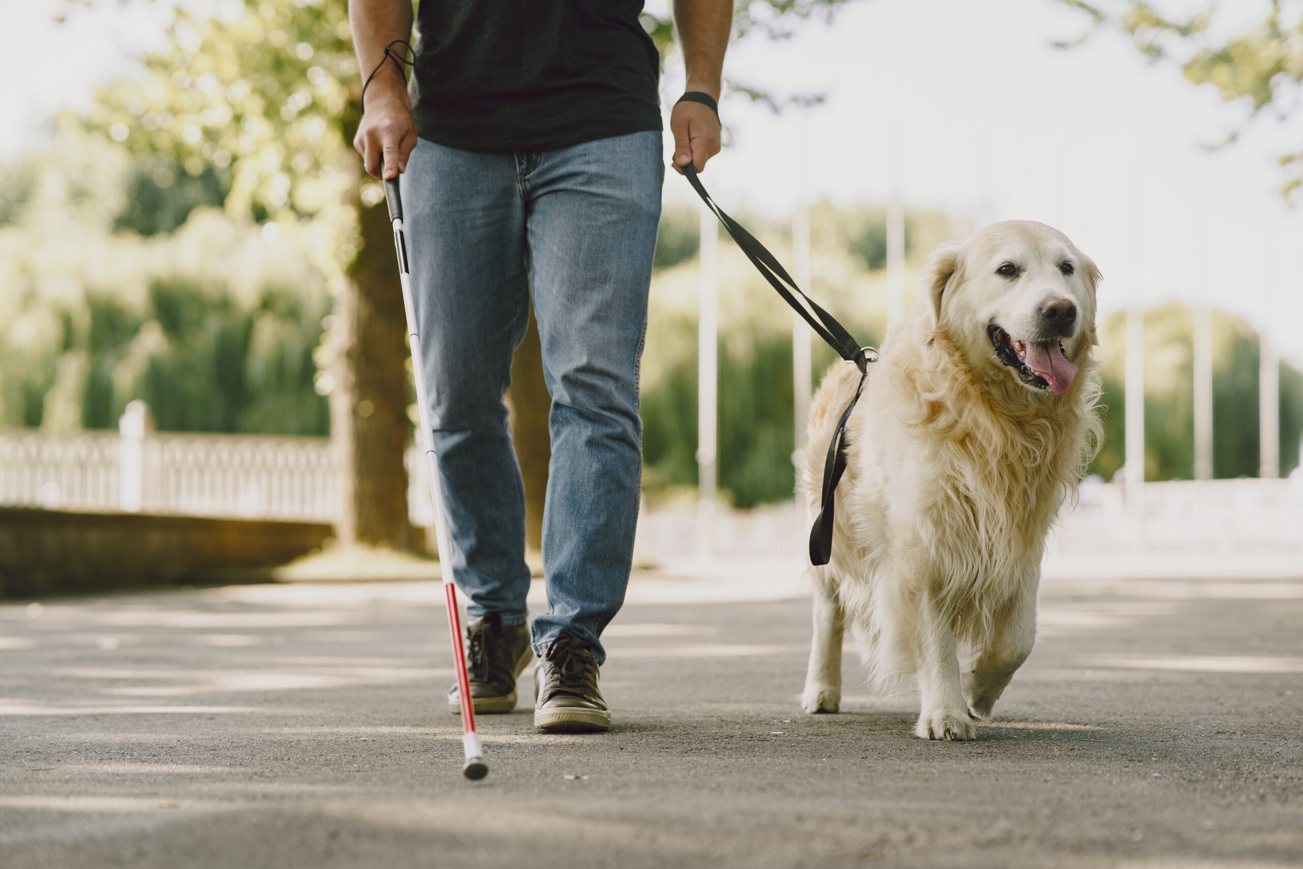 A blind person holding a cane, walking with their dog